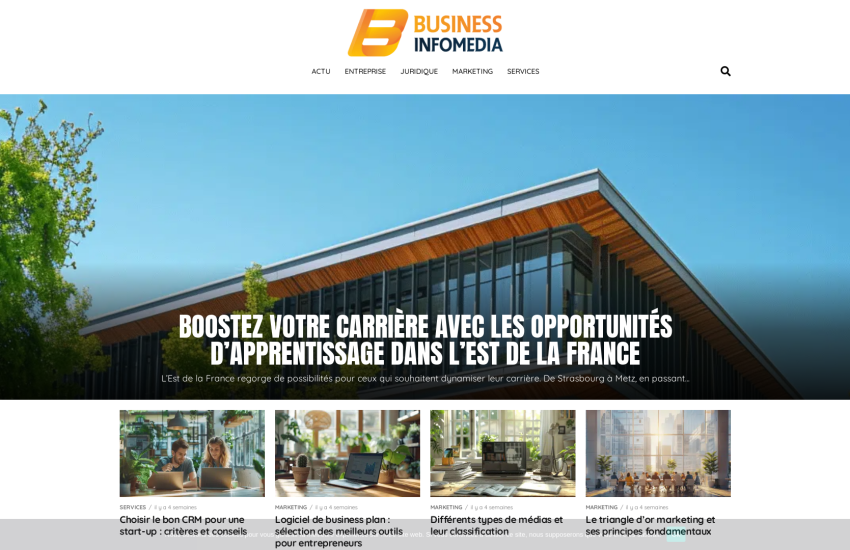 businessinfomedia.fr